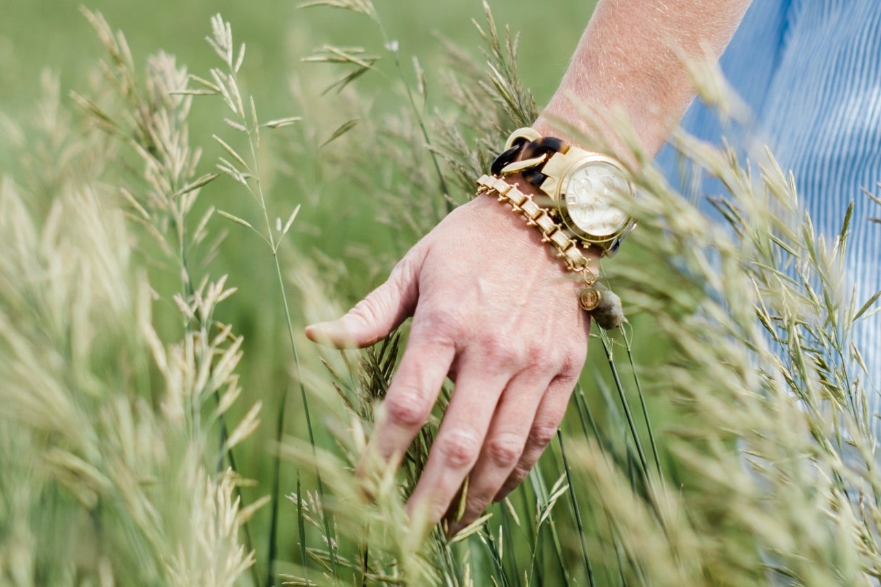 A close up of a hand with a gold bracelet and wristwatch touching ears of wheat.