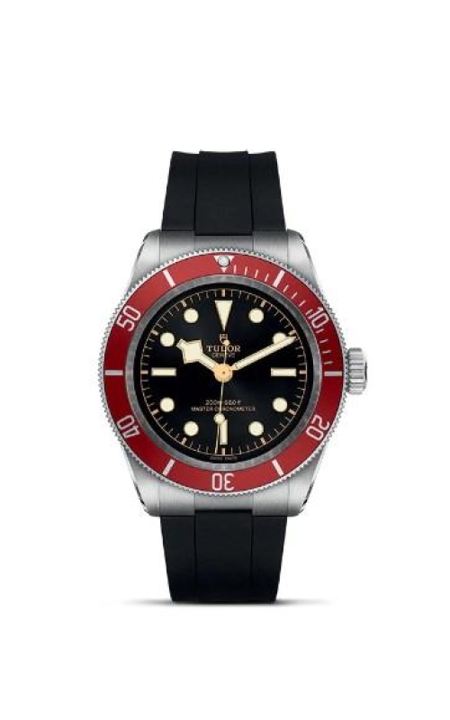 Tudor Black Bay