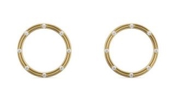 'RAE' collection Earrings