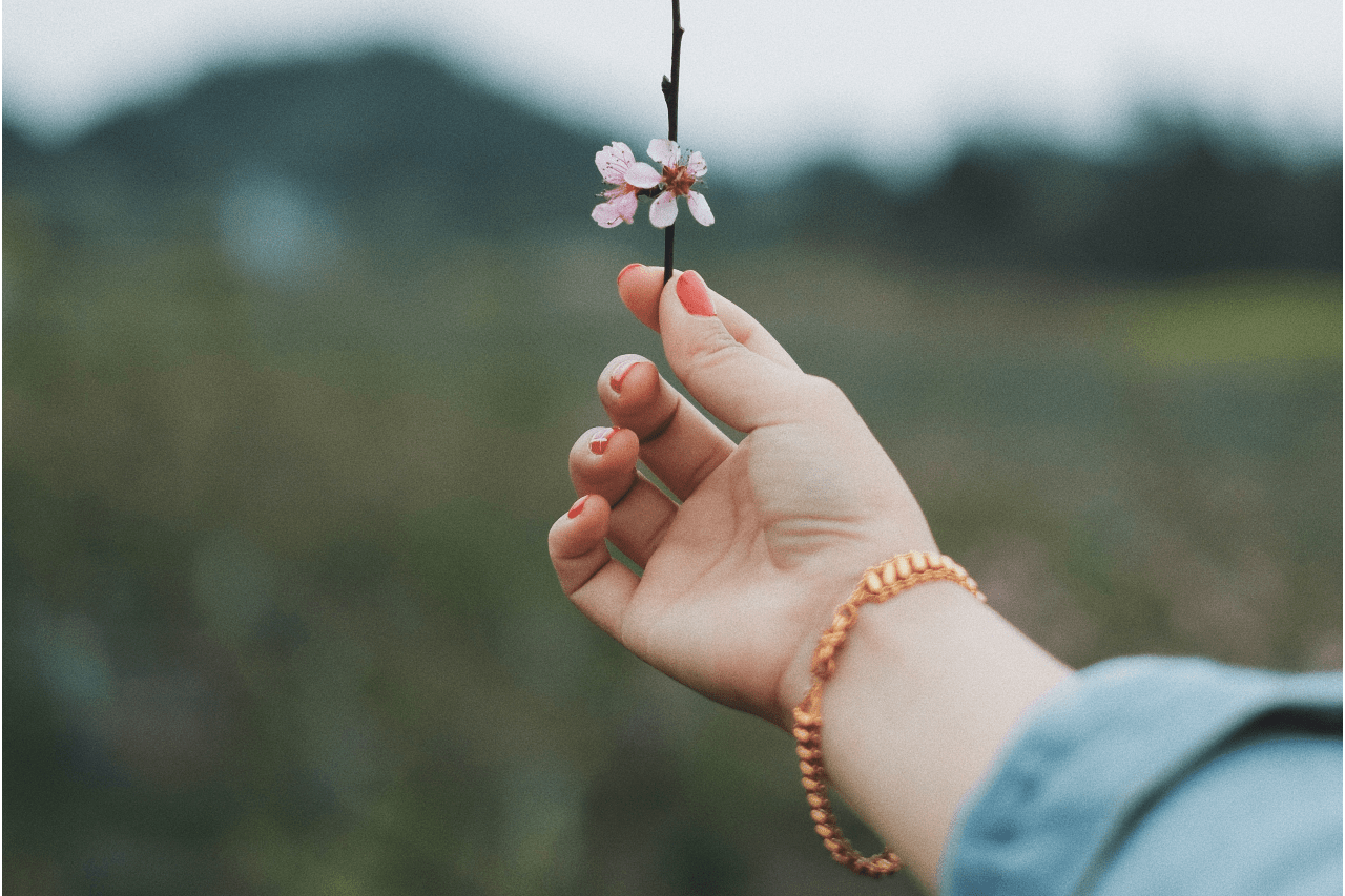 A hand adorned with a beautiful gold bracelet and red nails holds a small pink flower against a blurred natural backdrop.