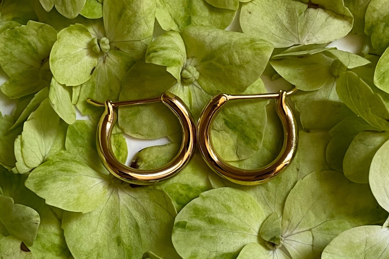A pair of gold hoop earrings displayed on green leaves. A pair of gold hoop earrings displayed on green leaves.